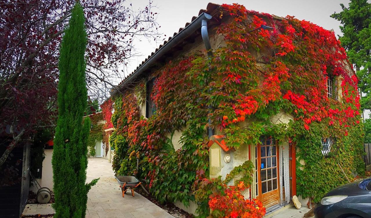 Le Mas Des Abeilles - Chambres D'Hotes En Drome Provencale La Bégude-de-Mazenc Dış mekan fotoğraf